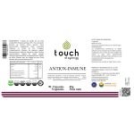 Antiox-Inmune – 90 cápsulas vegetales