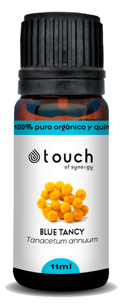 TANACETO AZUL Aceite esencial Tanaceto Azul Blend - 16ml - Imagen 1