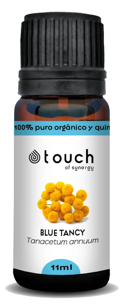 Aceite esencial Tanaceto Azul – 11 ml