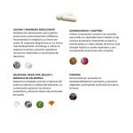 RESETMODE (Sueño profundo y recuperación) - Imagen 4