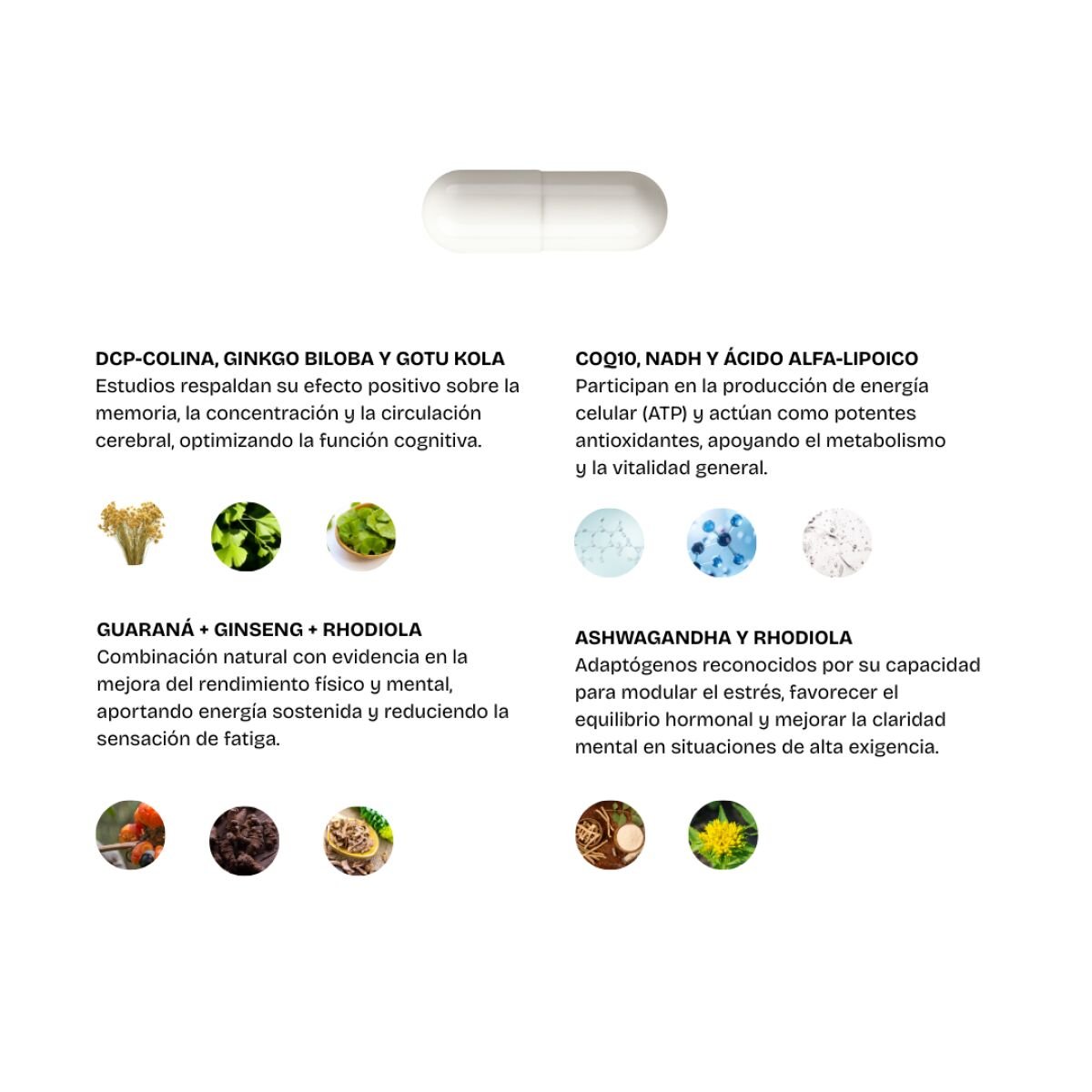 FLOWMODE X (FOCO, MEMORIA Y RENDIMIENTO COGNITIVO) - Imagen 4