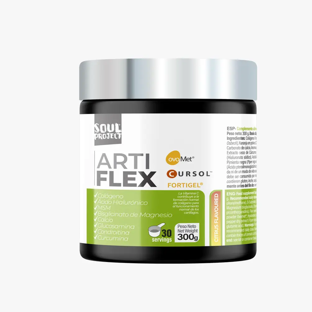 aa03488d658a943b2f4d2272b9ed65402ceaa49cc7bbc3538b1708f0c2fb01b9 ARTIFLEX | 300 G - Imagen 1