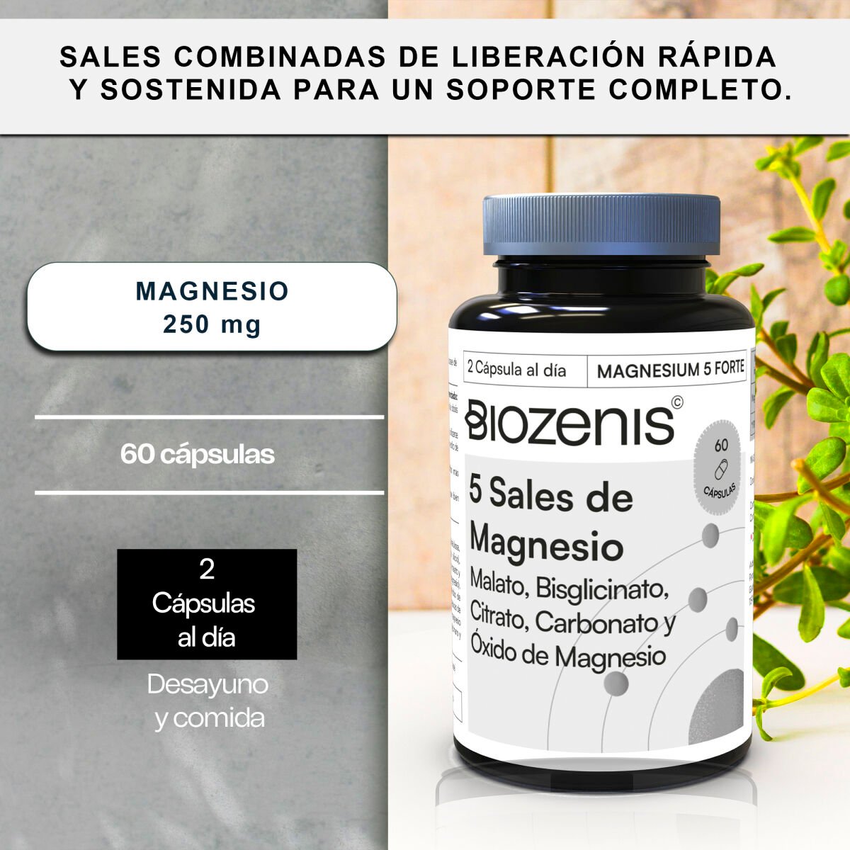 Magnesium 5 Forte – 5 Sales de Magnesio: Malato, Bisglicinato, Citrato, Carbonato y Óxido - Imagen 3
