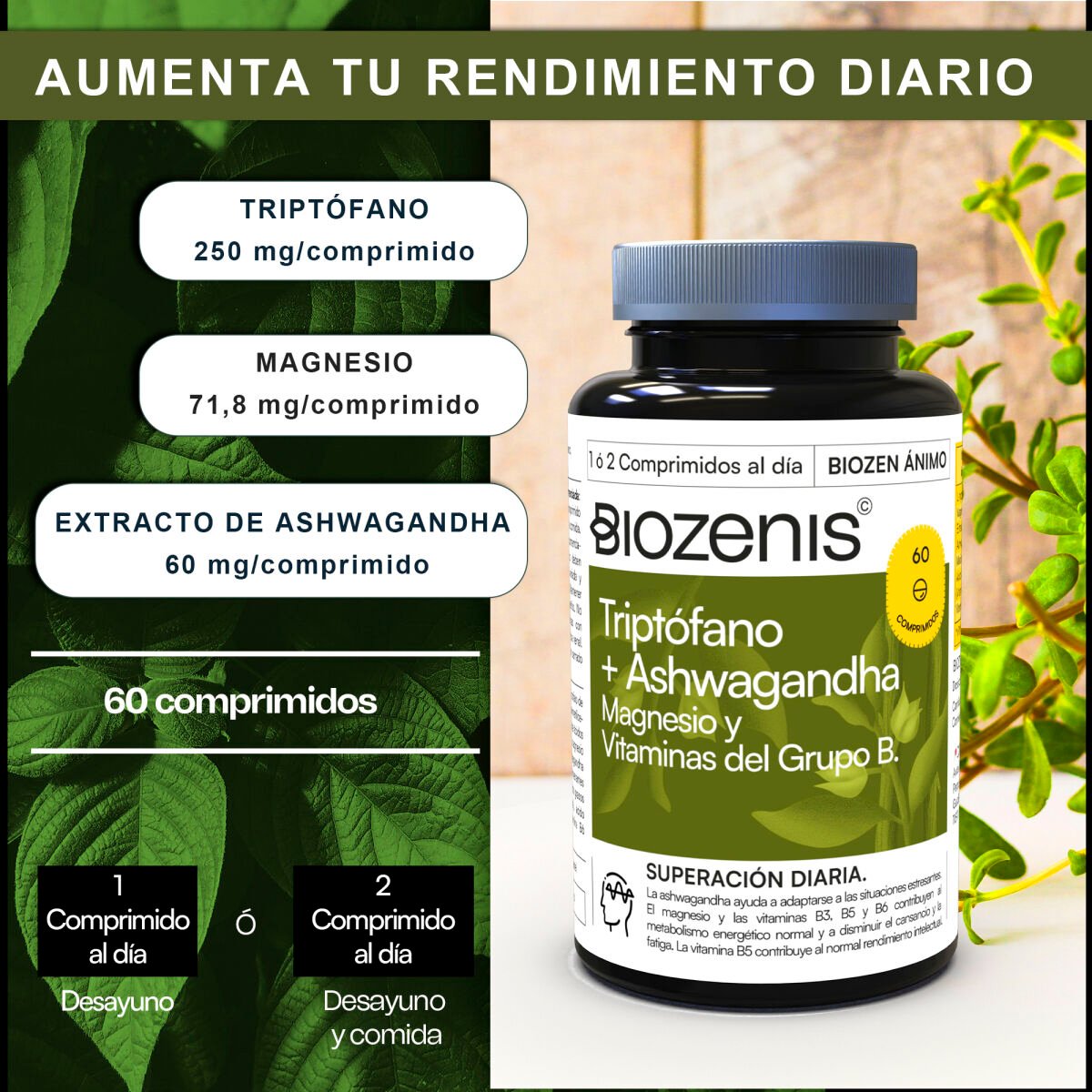 Triptófano + Ashwagandha con Magnesio y Vitaminas B – 60 comprimidos - Imagen 3
