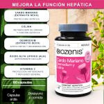 Hepaplus – Cardo Mariano, Desmodium, Colina, Ácido Alfa Lipoico y Vitamina C – 60 cápsulas - Imagen 3
