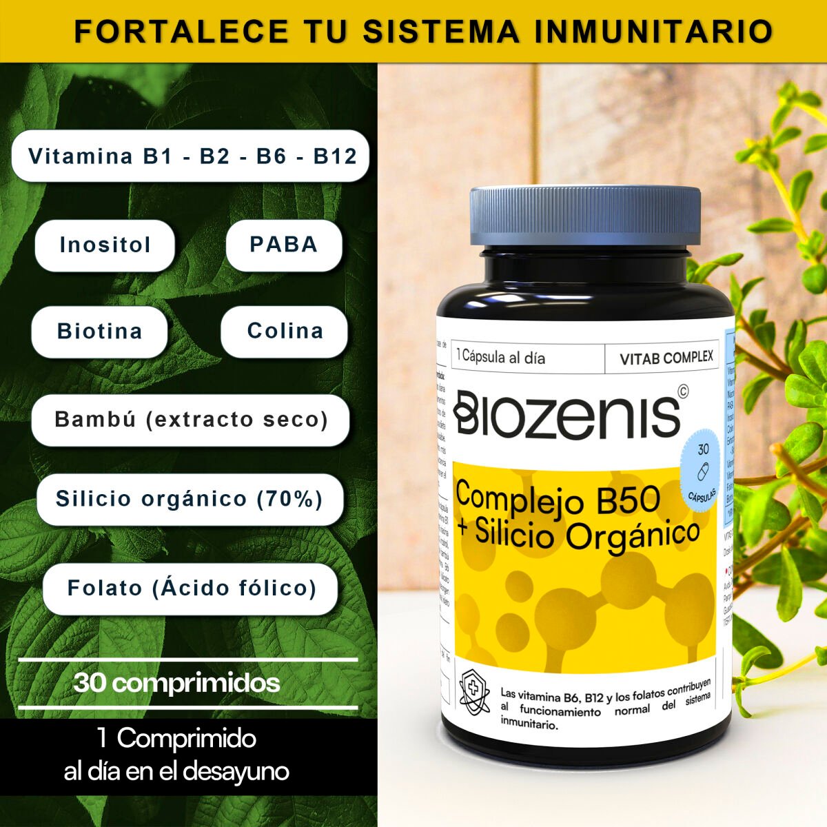VitaB Complex – Complejo de Vitaminas B con PABA, Colina, Inositol, Bambú y Biotina – 30 cápsulas - Imagen 2