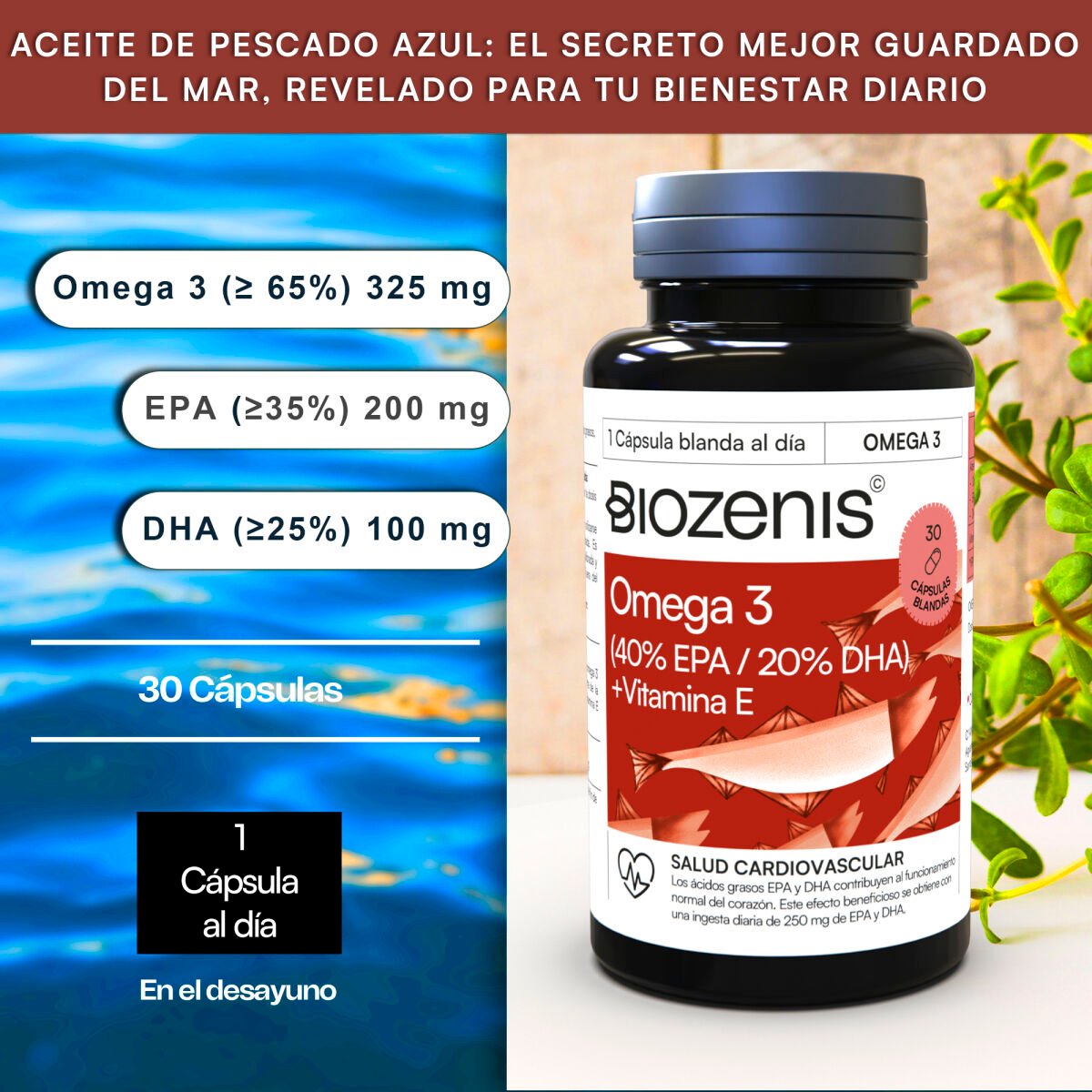 Omega 3 – 200 mg EPA + 100 mg DHA + Vitamina E – 30 cápsulas - Imagen 4