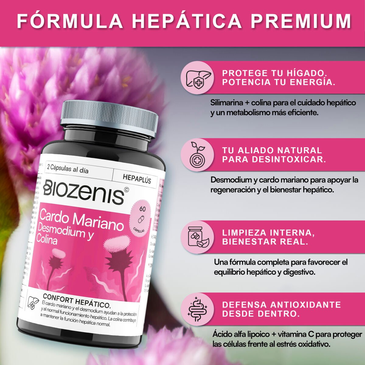 Hepaplus – Cardo Mariano, Desmodium, Colina, Ácido Alfa Lipoico y Vitamina C – 60 cápsulas - Imagen 2