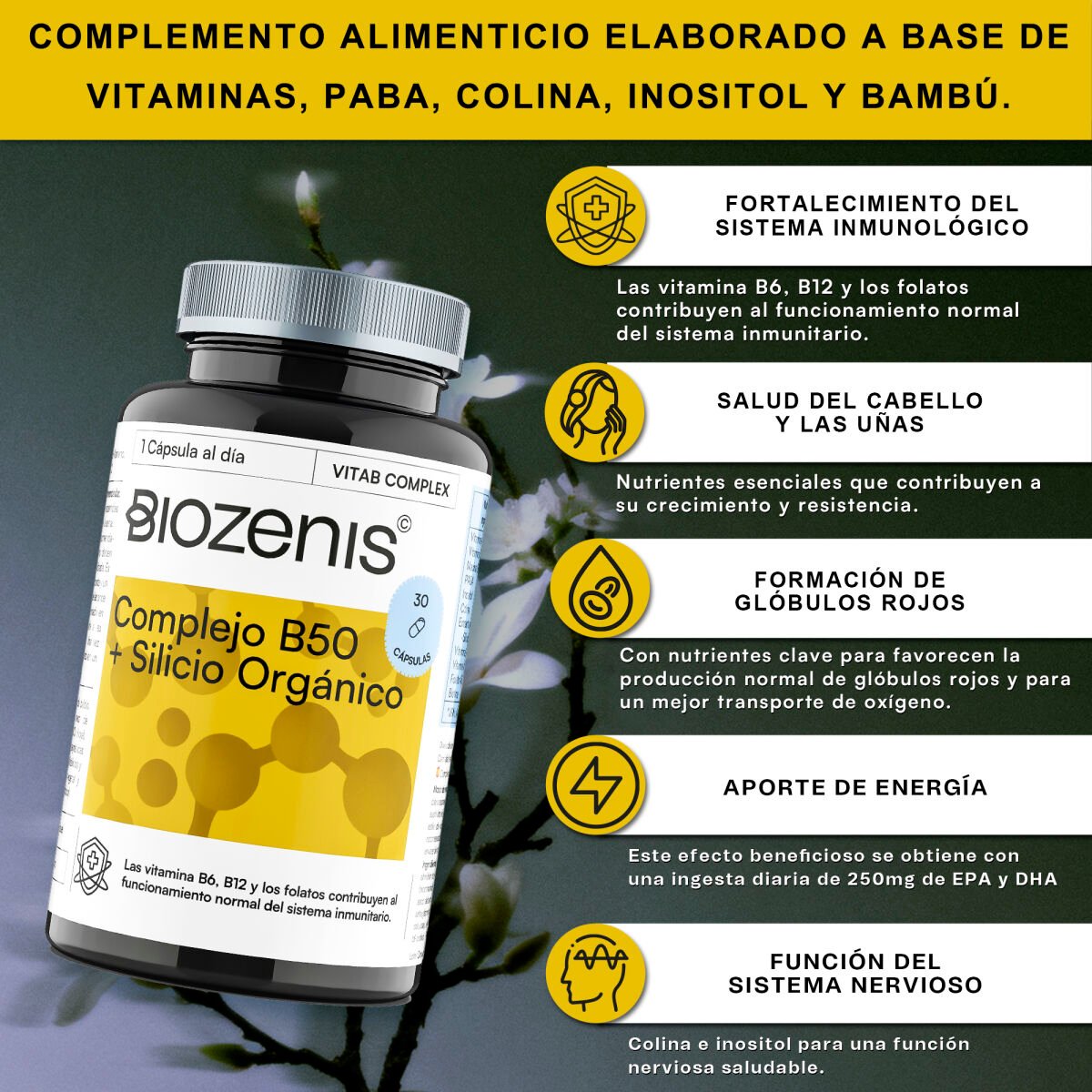 VitaB Complex – Complejo de Vitaminas B con PABA, Colina, Inositol, Bambú y Biotina – 30 cápsulas - Imagen 4