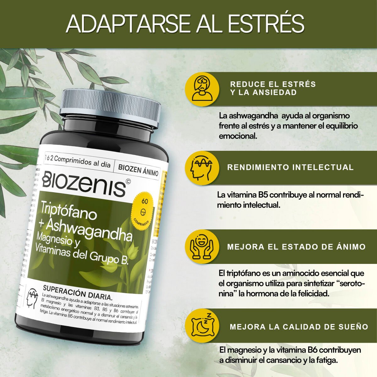 Triptófano + Ashwagandha con Magnesio y Vitaminas B – 60 comprimidos - Imagen 2