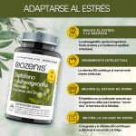 Triptófano + Ashwagandha con Magnesio y Vitaminas B – 60 comprimidos - Imagen 2