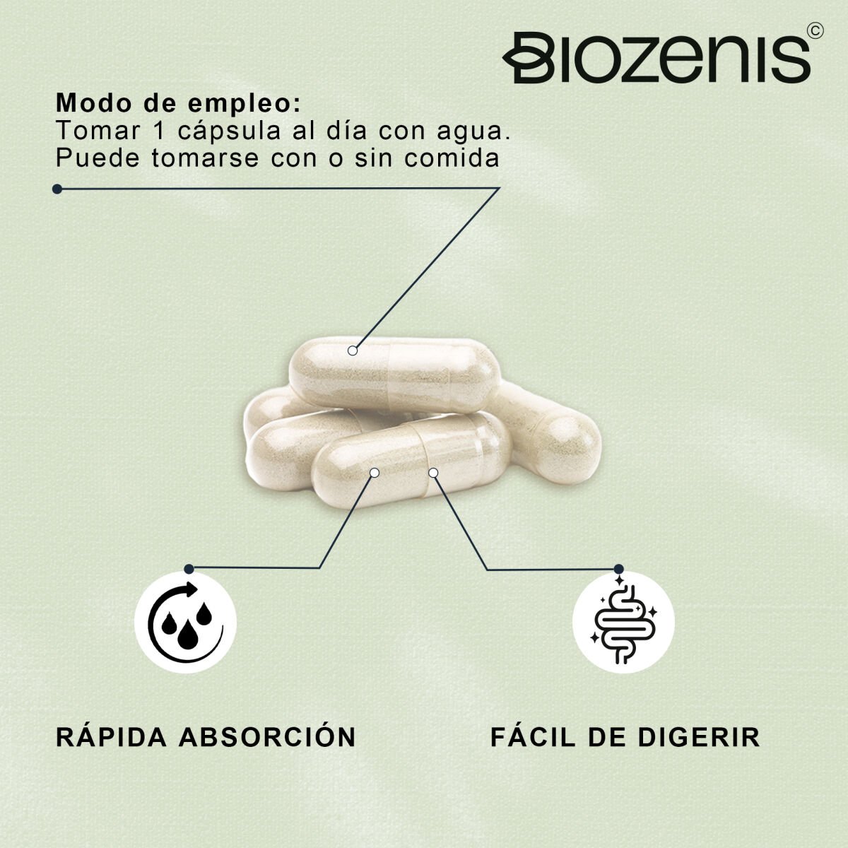 Florabalance – Probióticos + Prebióticos FOS + Vitamina C – 30 cápsulas - Imagen 3