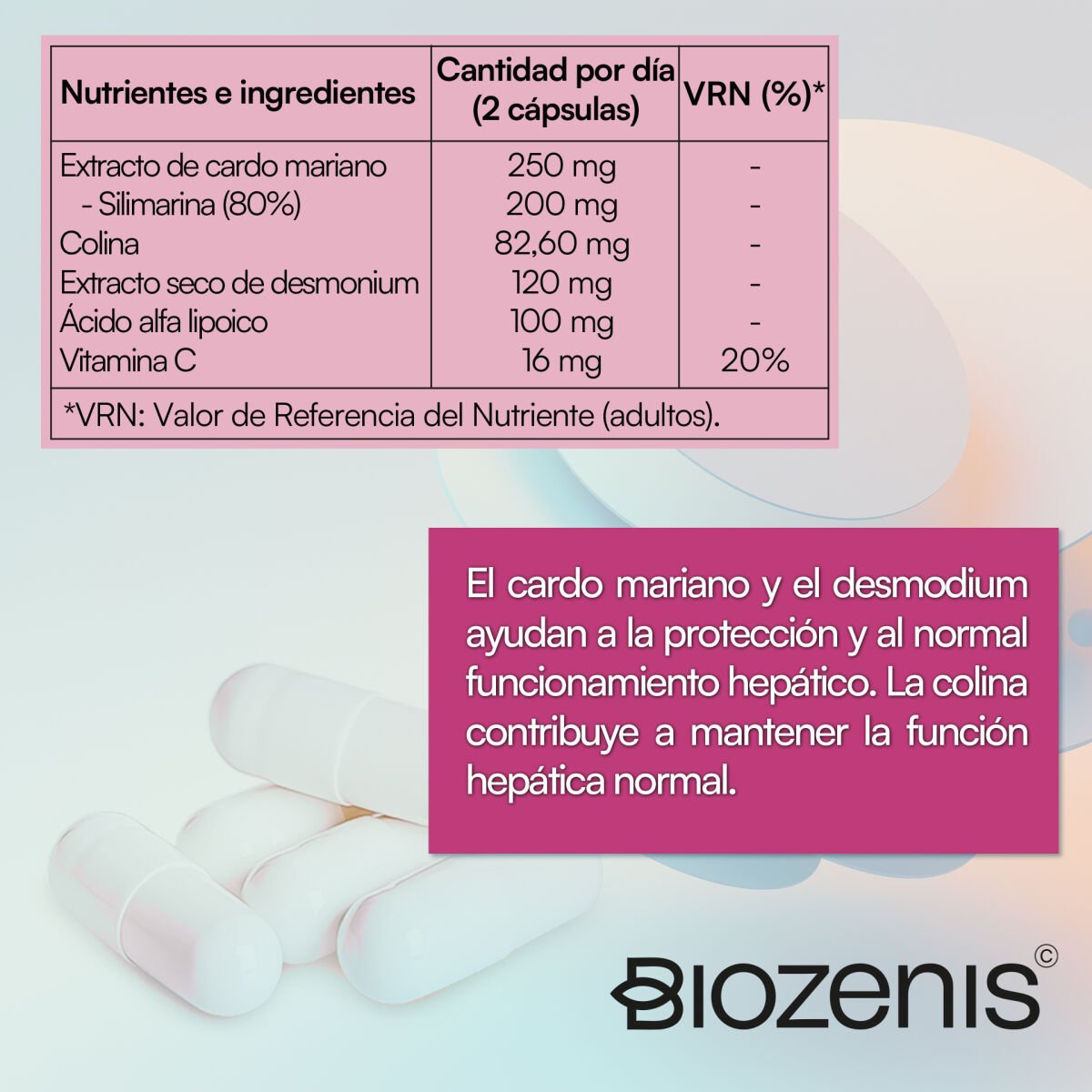 Hepaplus – Cardo Mariano, Desmodium, Colina, Ácido Alfa Lipoico y Vitamina C – 60 cápsulas - Imagen 6