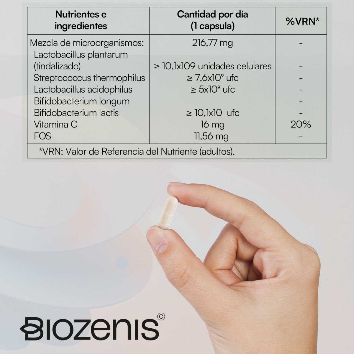 Florabalance – Probióticos + Prebióticos FOS + Vitamina C – 30 cápsulas - Imagen 5