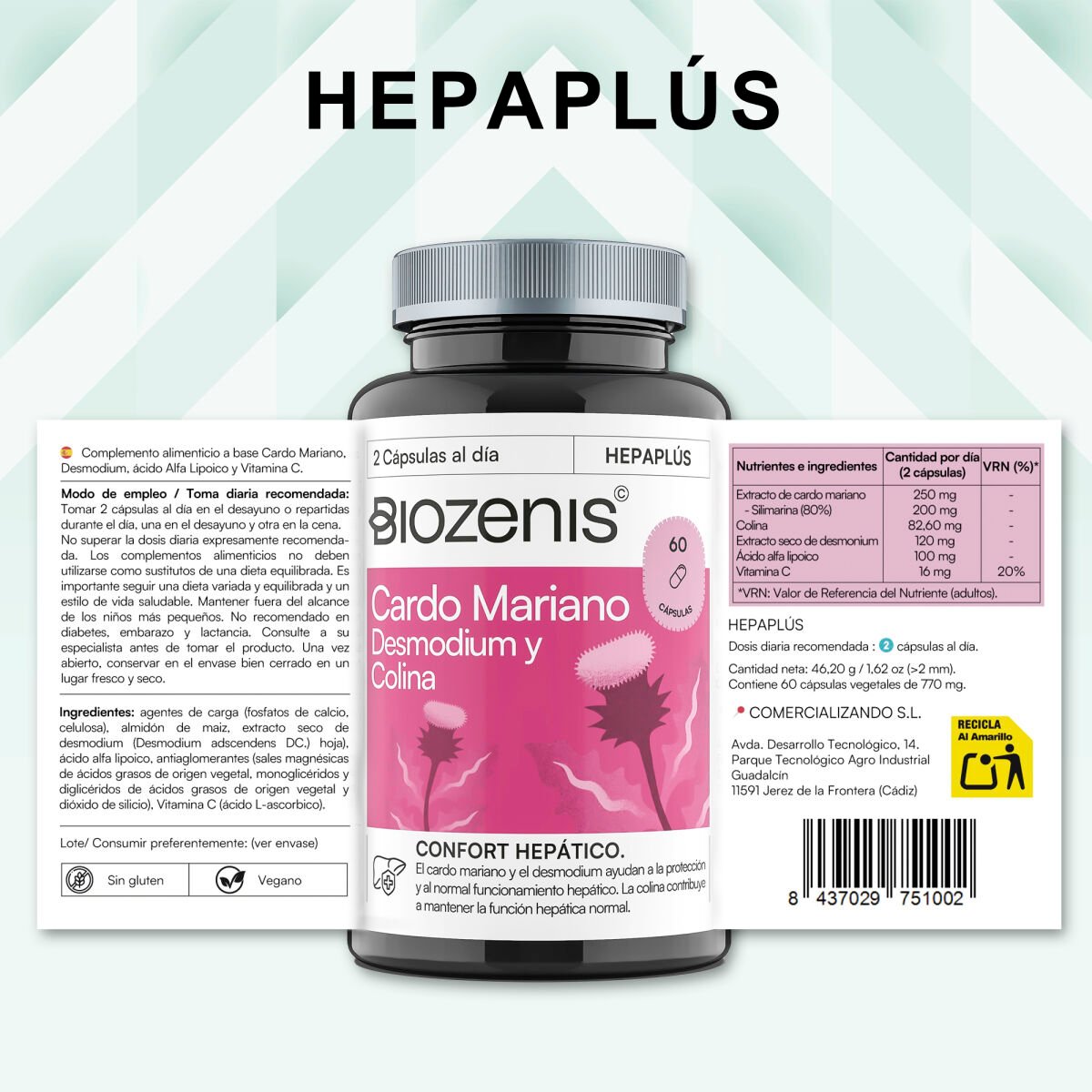 Hepaplus – Cardo Mariano, Desmodium, Colina, Ácido Alfa Lipoico y Vitamina C – 60 cápsulas - Imagen 5