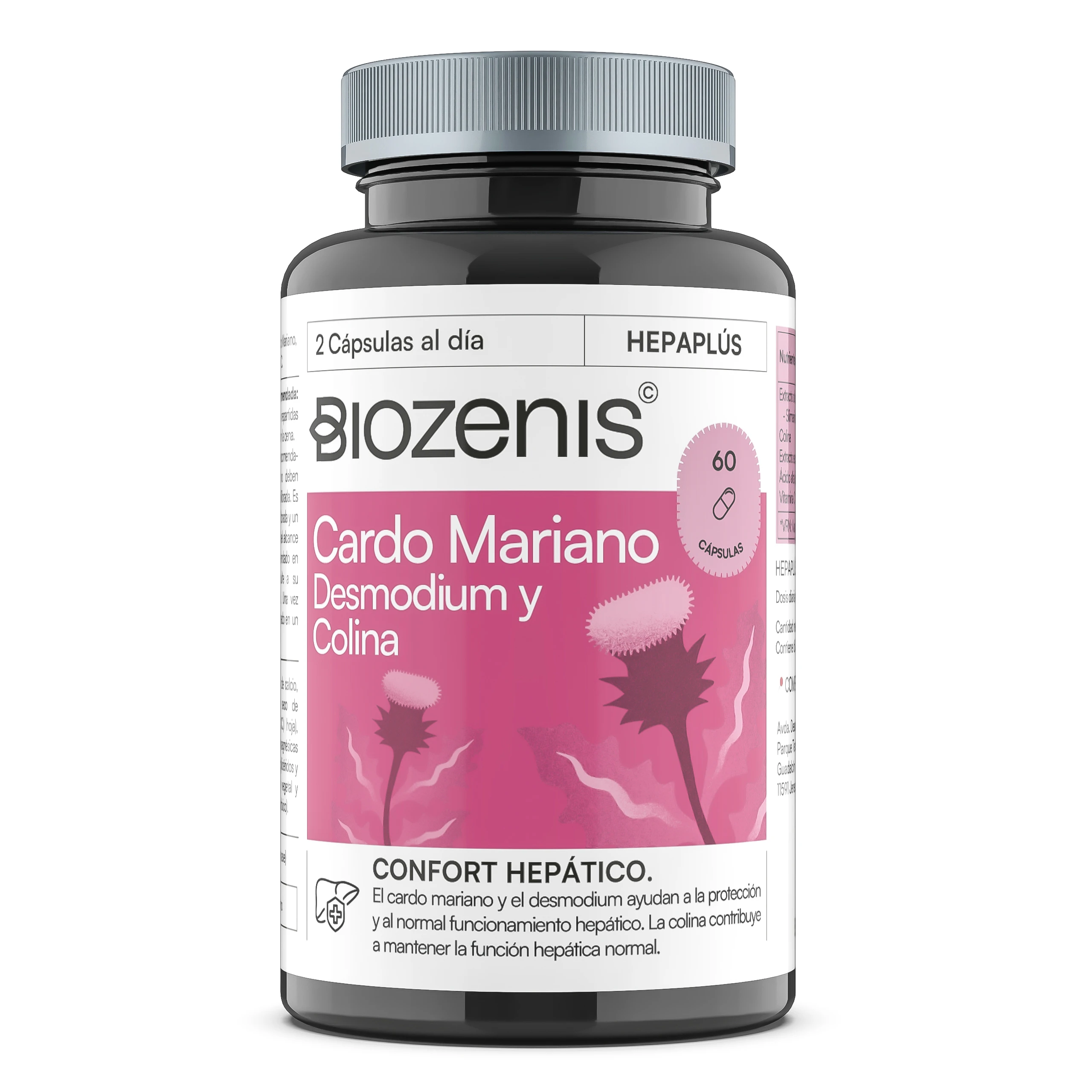 Hepaplus – Cardo Mariano, Desmodium, Colina y Vitamina C – 60 cápsulas