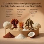 Longevity SuperLatte – Alternativa ecológica al café para el rendimiento diario y la vitalidad a largo plazo - Imagen 3
